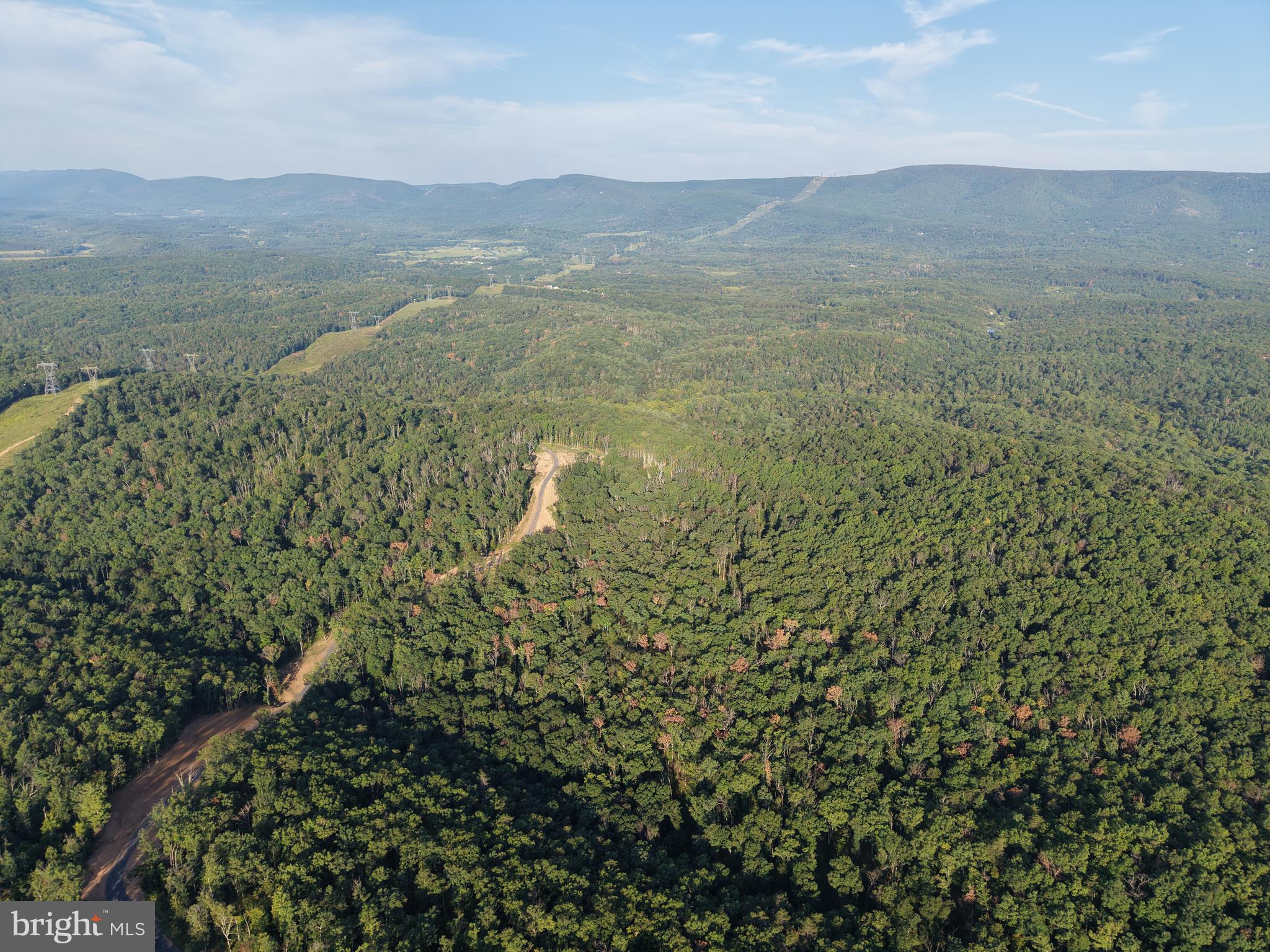 TRACT 1: 152.44+/- ACRES OFF OF LAUREL GROVE ROAD