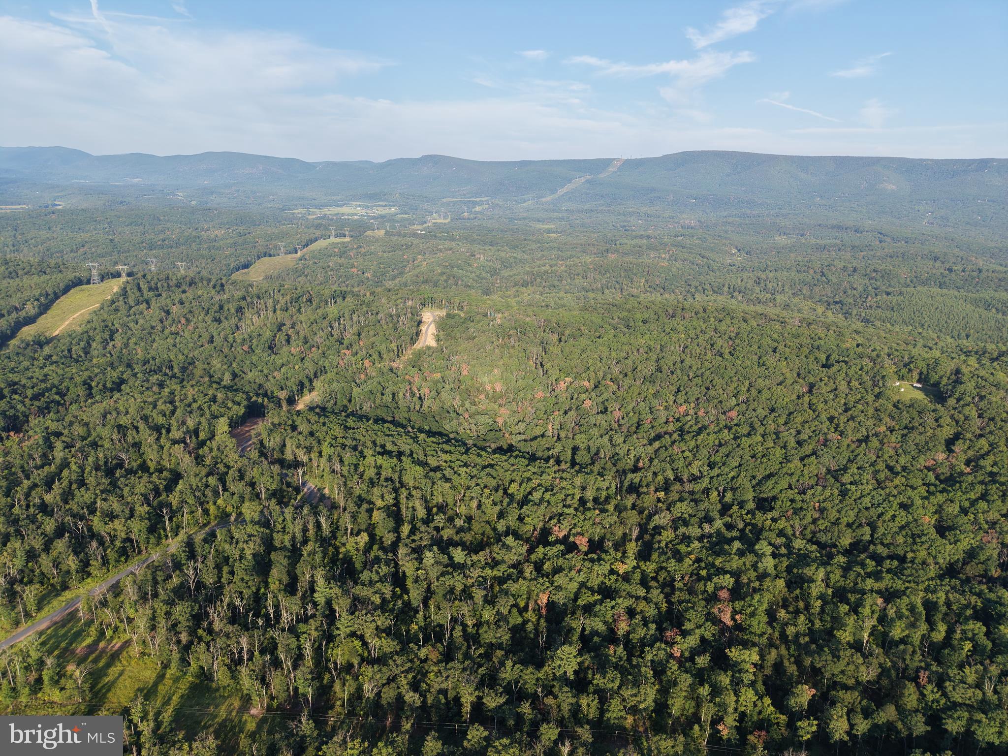 TRACT 1: 152.44+/- ACRES OFF OF LAUREL GROVE ROAD