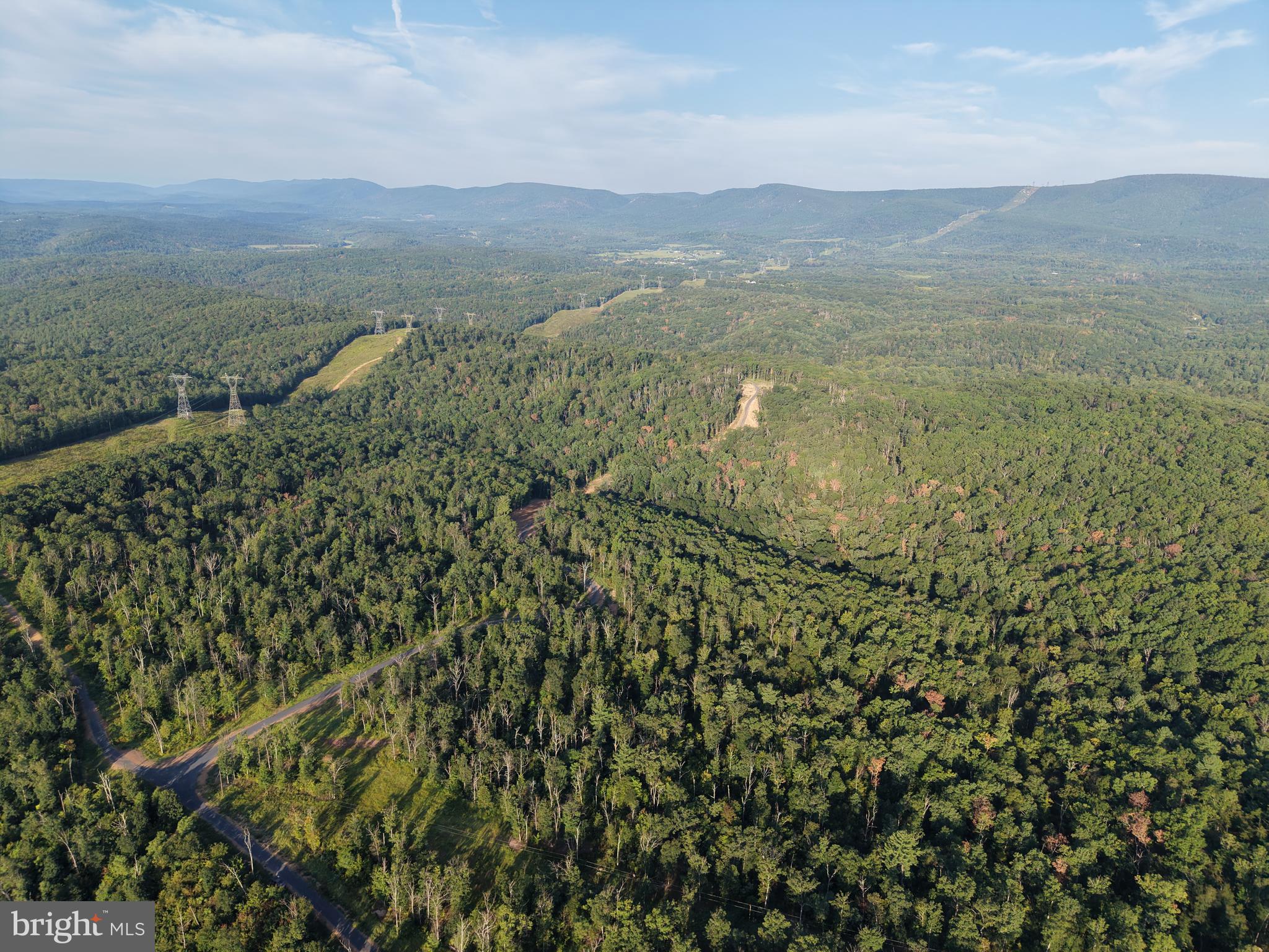 TRACT 1: 152.44+/- ACRES OFF OF LAUREL GROVE ROAD