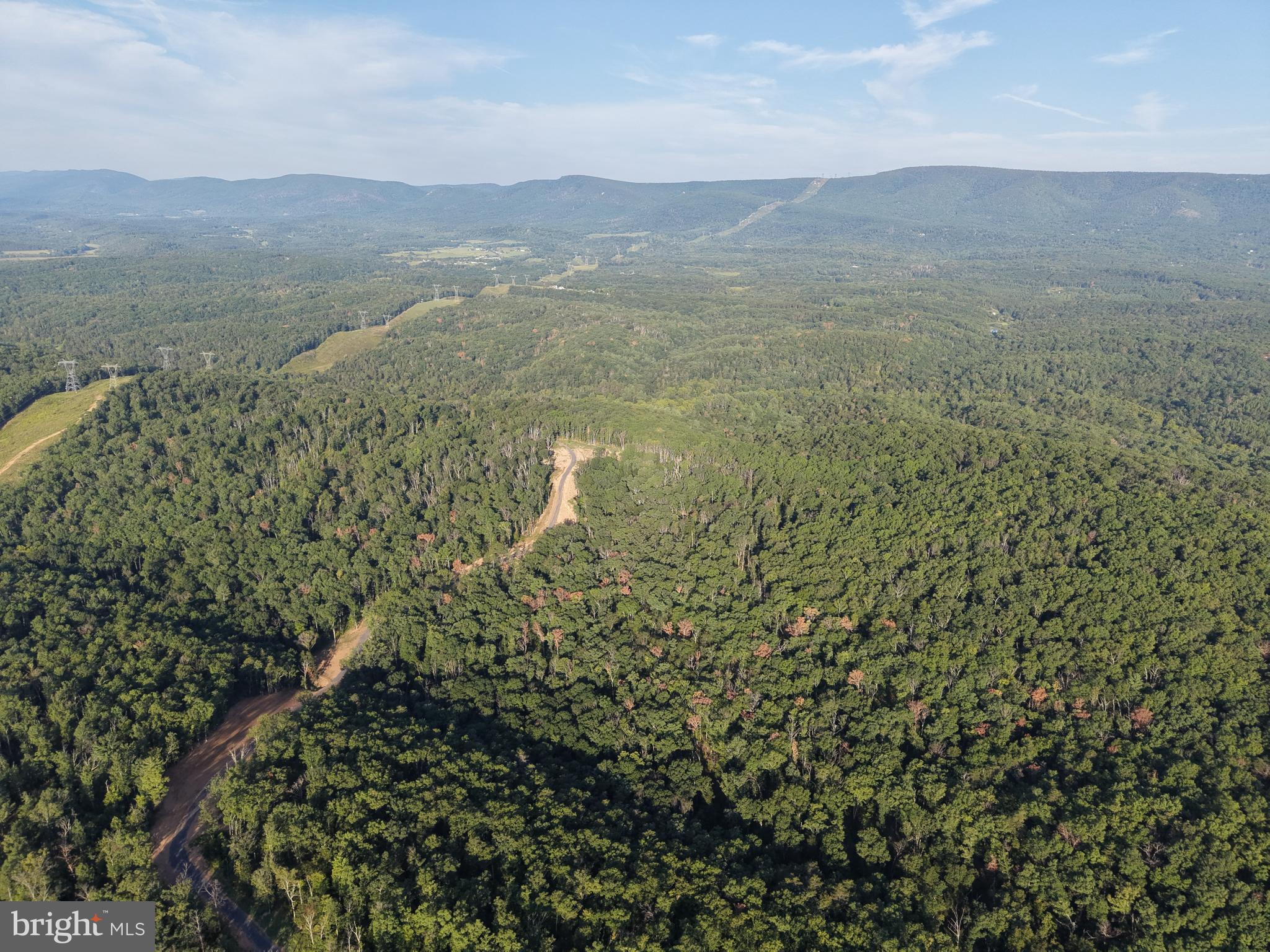 TRACT 1: 152.44+/- ACRES OFF OF LAUREL GROVE ROAD