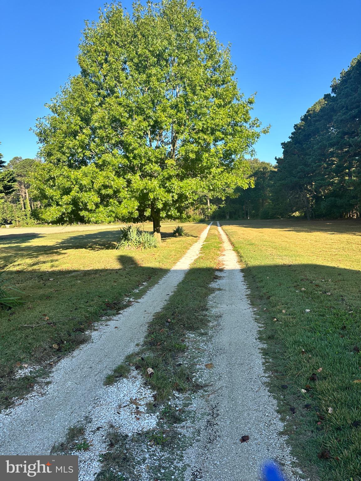 6561 BELL CREEK ROAD