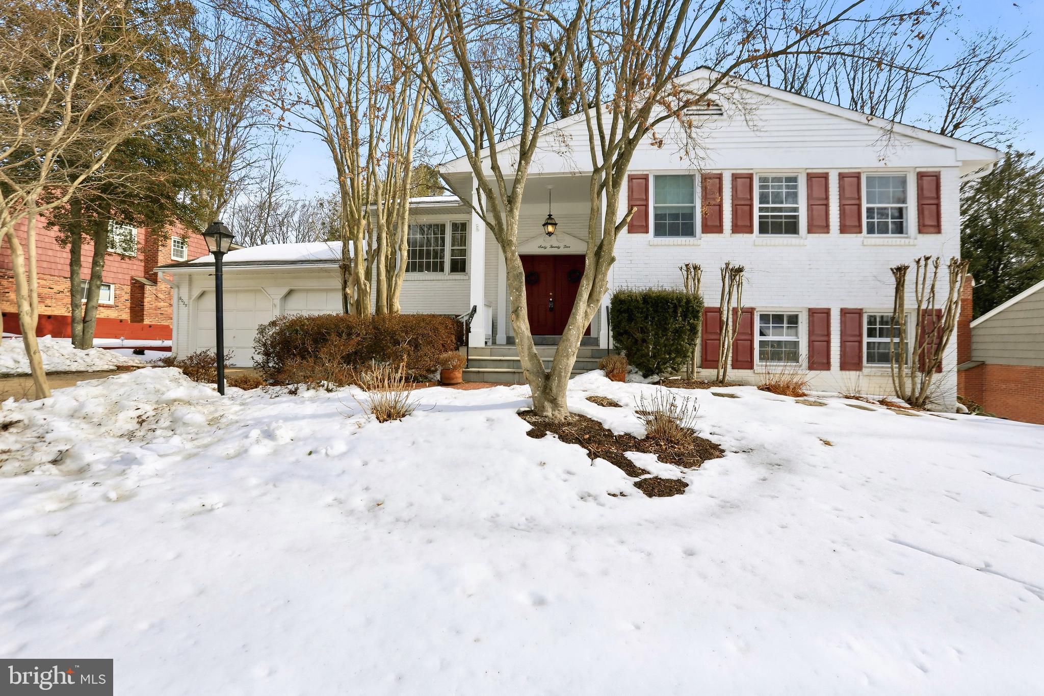 CARDINAL FOREST - Residential