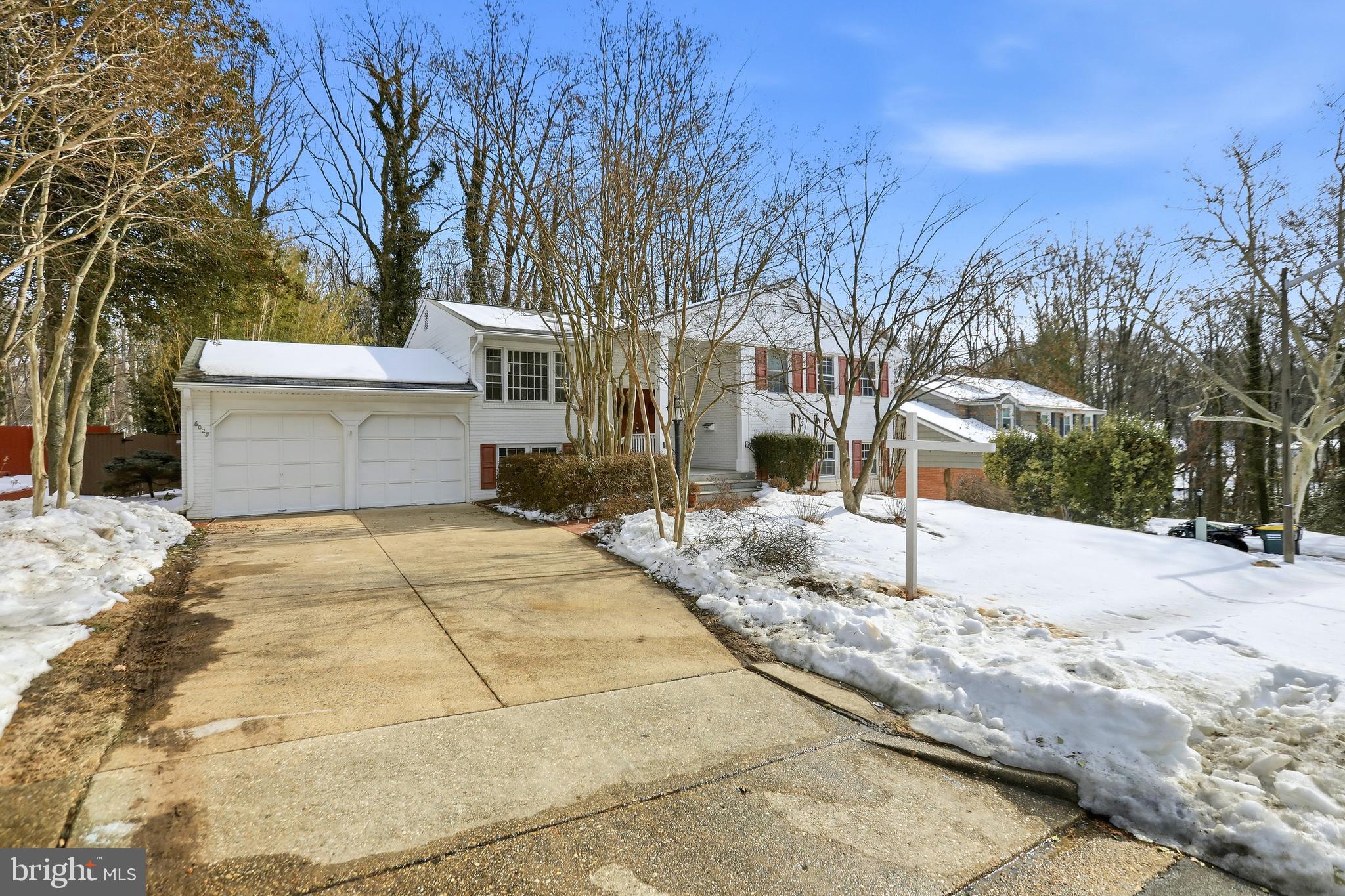 CARDINAL FOREST - Residential