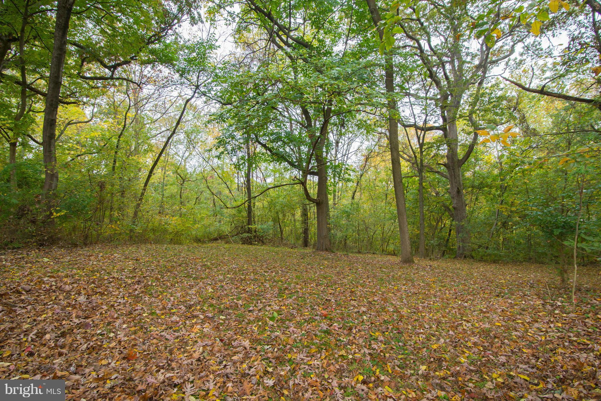 HONEYWOOD - Residential