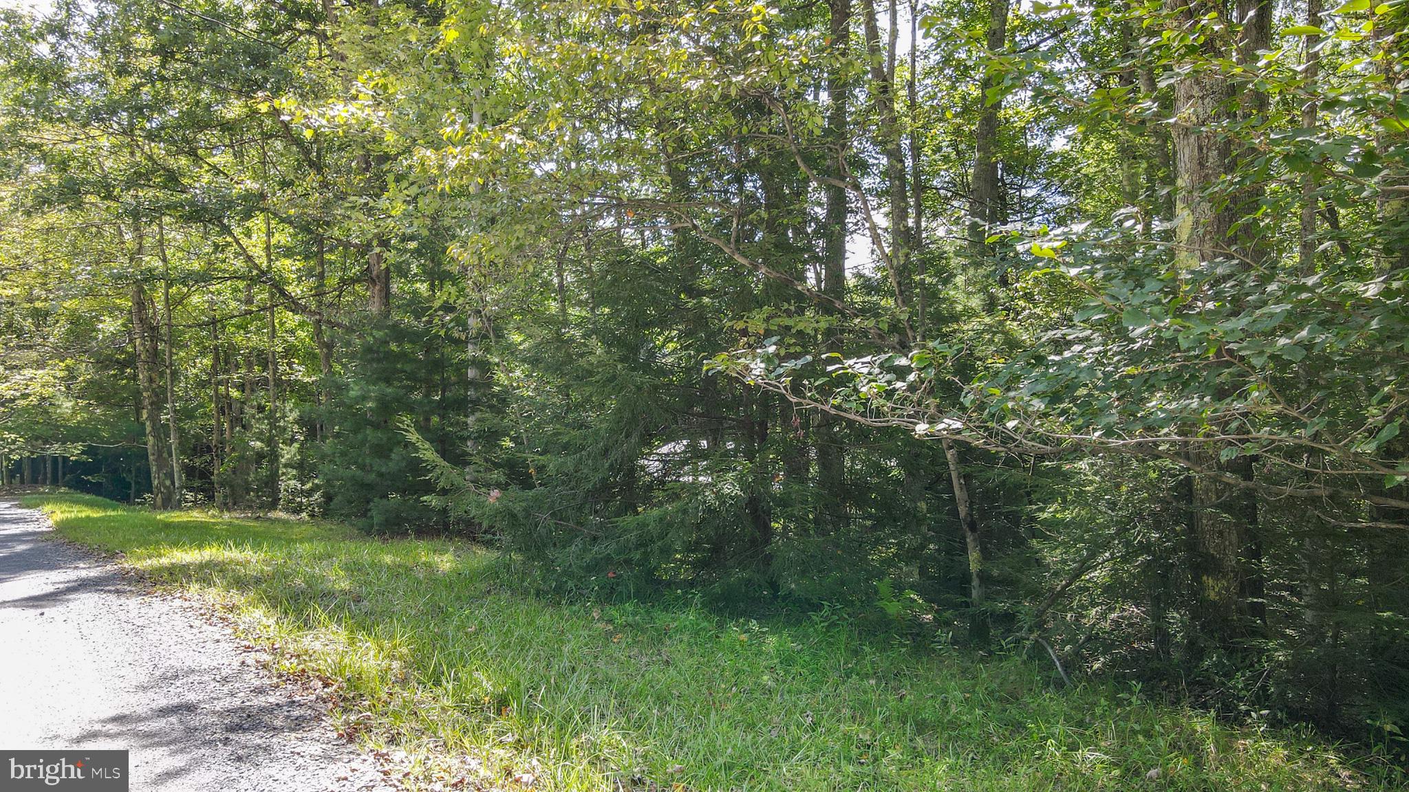 YOUGH VIEW DRIVE