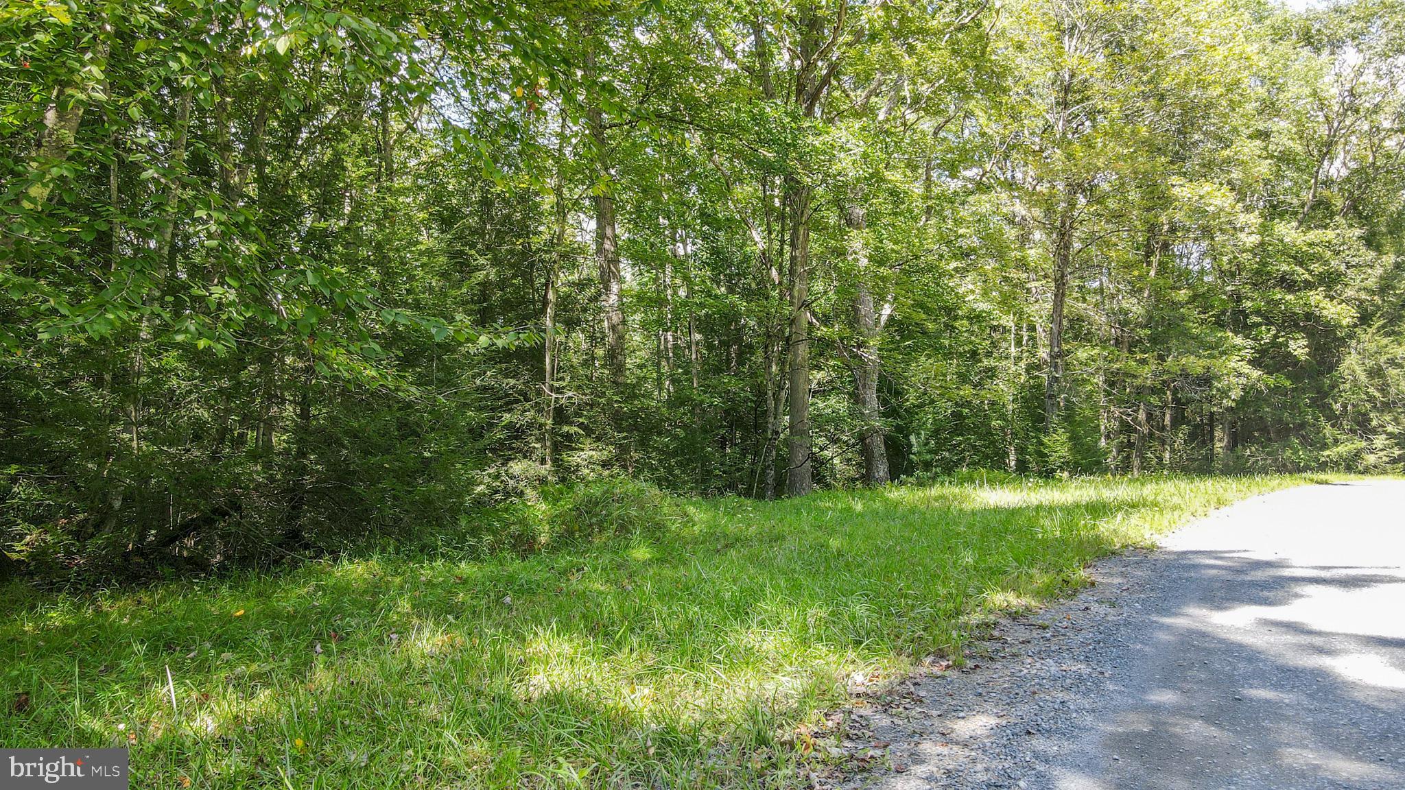 YOUGH VIEW DRIVE