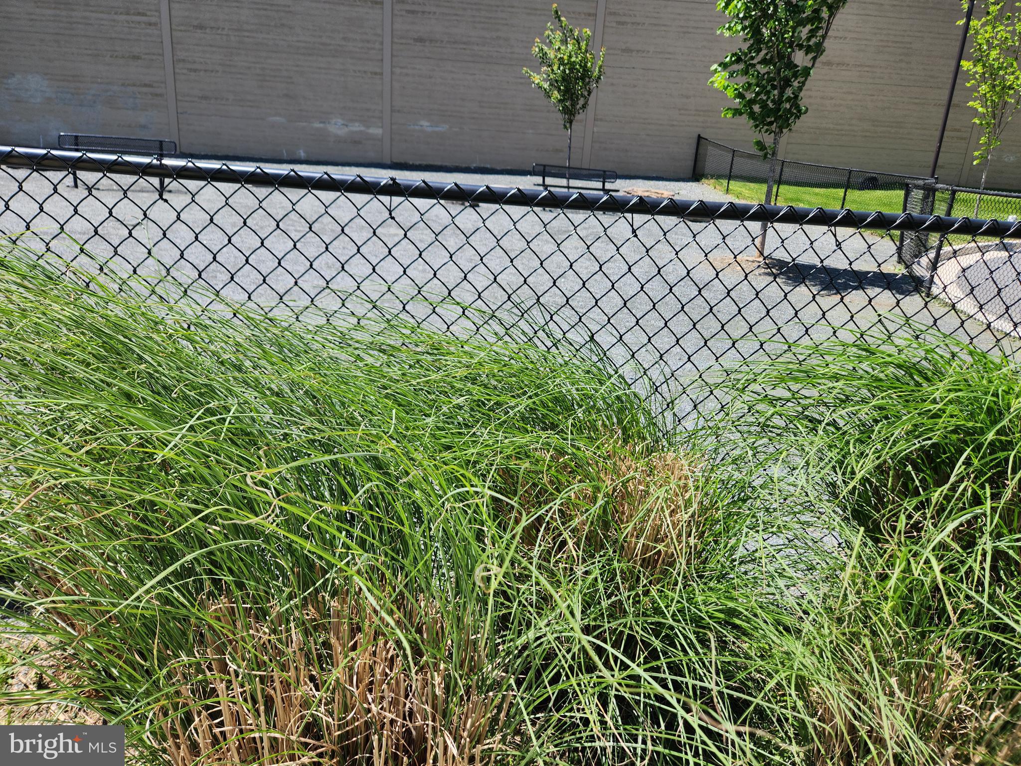 WESTSIDE AT SHADY GROVE METRO - Residential