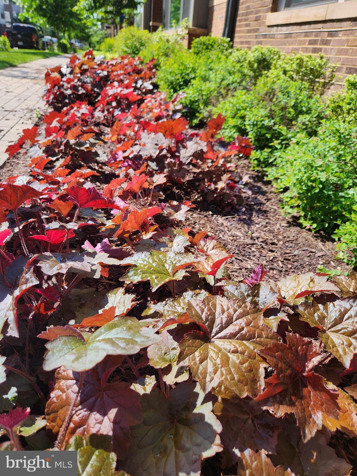 WESTSIDE AT SHADY GROVE METRO - Residential