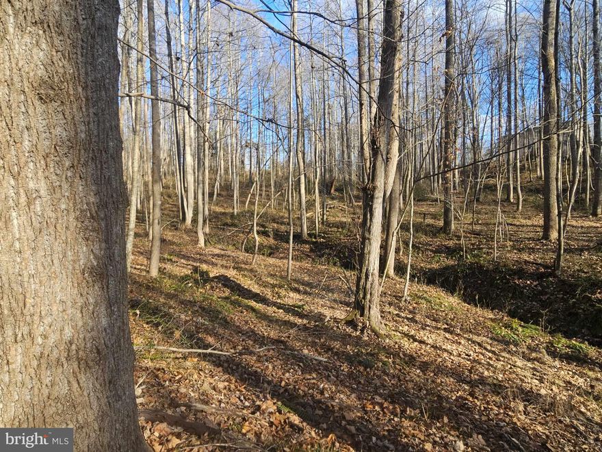 10 lovely wooded acres with a winding stream and elevated, private home site. Abundant wildlife and many possibilities await. Soil work completed for a conventional drainfield with 3 bedroom perc. Zoned A1. No HOA or covenants. Mobile homes, manufactured homes, and modulars allowed. Deeded road maintenance agreement in place for 4 lots served by Cedar Lane.