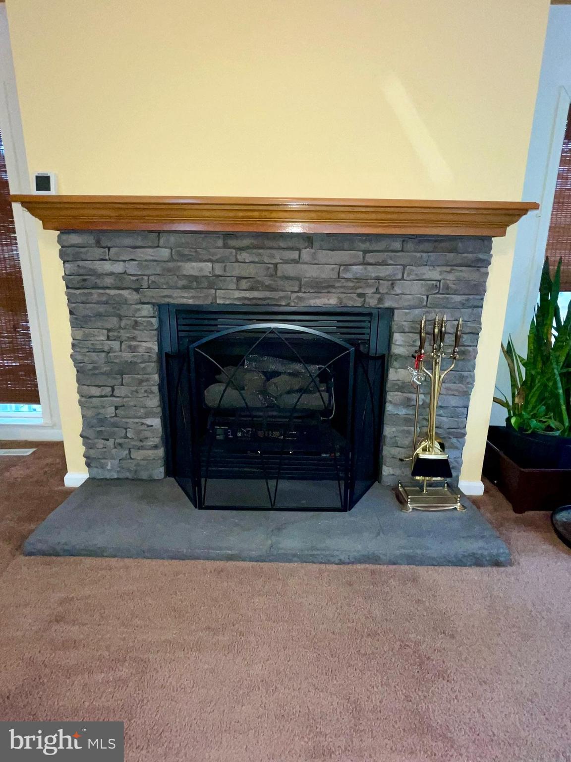 CEDARVILLE MOBILE HOME PARK - Residential