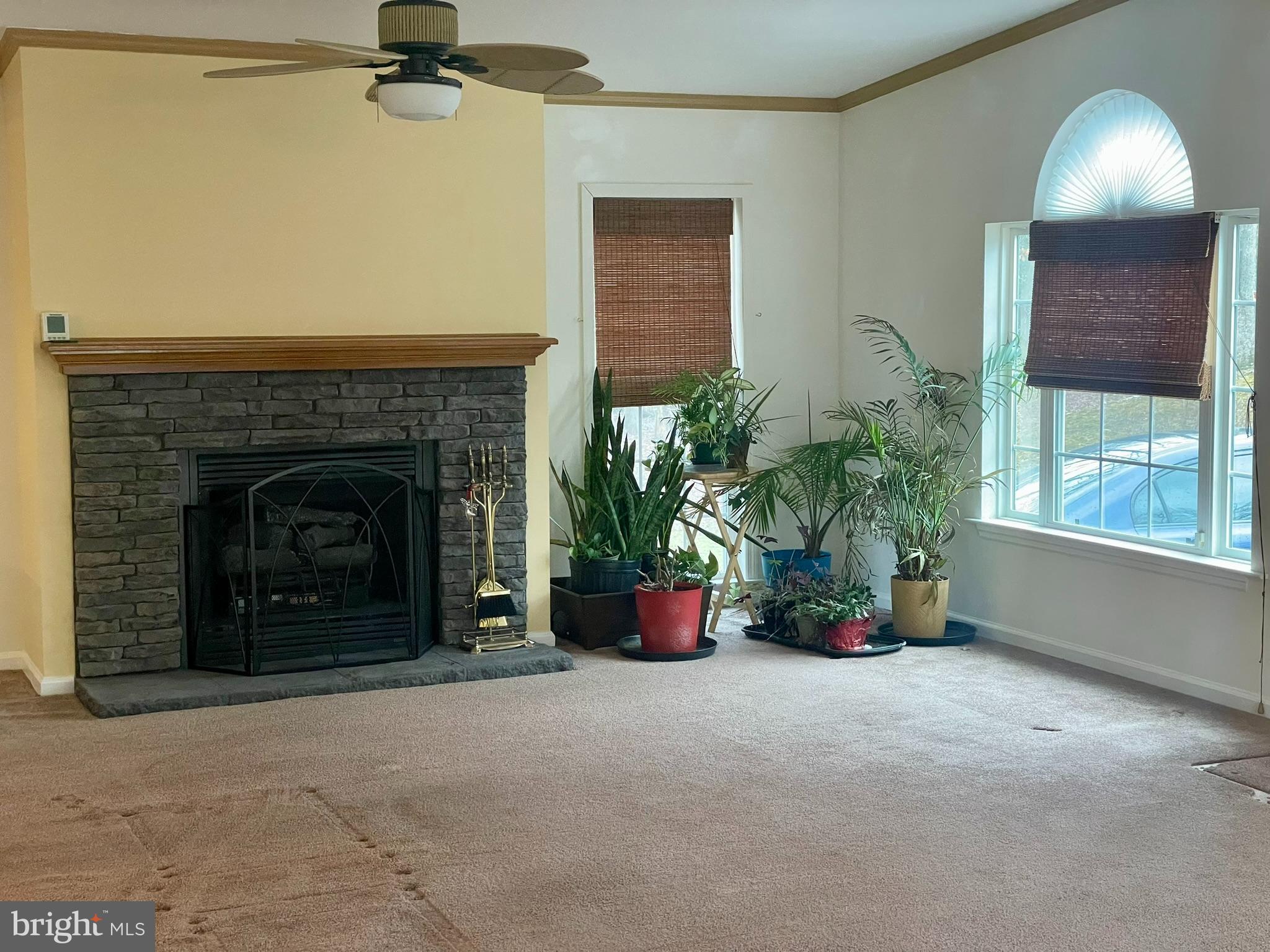 CEDARVILLE MOBILE HOME PARK - Residential