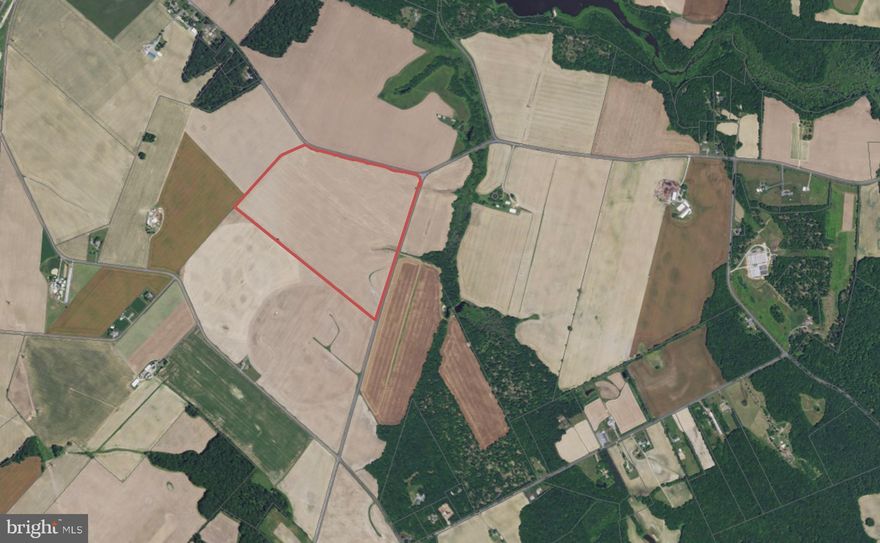 "Gemberling Farms"

The High Bridge Road parcel has 106.1 tillable acres with underground lines to center pivot (Pivot system does NOT convey). MD SDAT incorrectly indicates 98.3 acres.
Excellent Sandy Loam soils, Has full development rights, subject to existing farm lease until 12/31/25. In Queen Anne’s County “Solar Corridor.”

Offers will be accepted until May 18, 2024 5PM EST. All offers shall be submitted with Maryland Association of Realtors (MAR) land or residential contracts.
DO NOT ENTER THE PROPERTY WITHOUT PERMISSION OF THE LISTING AGENT.