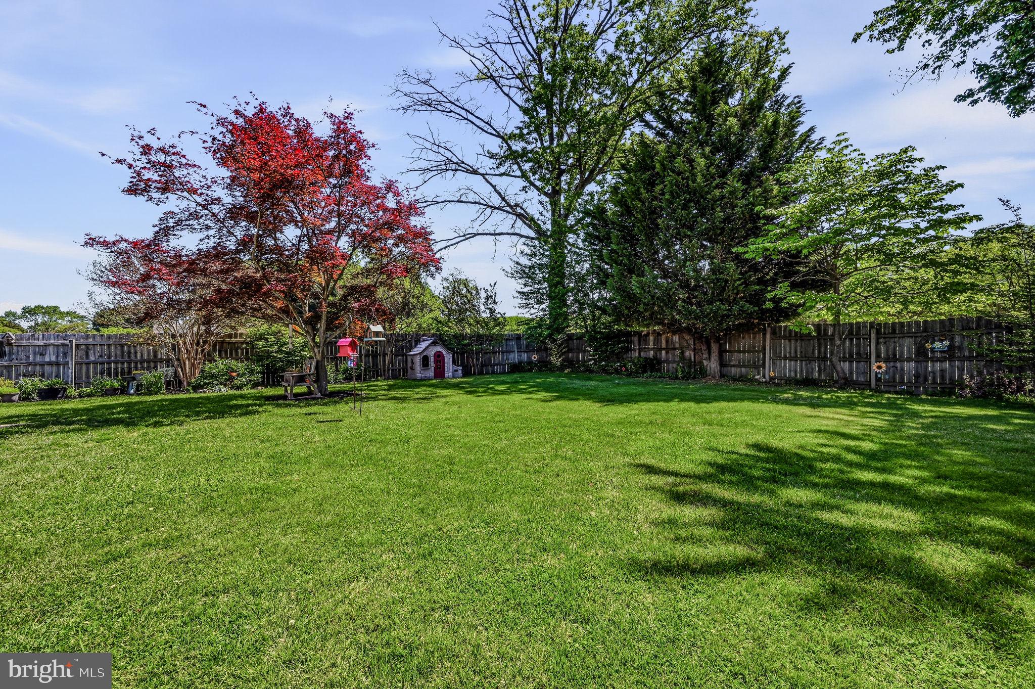 SCOTTFIELD - Residential