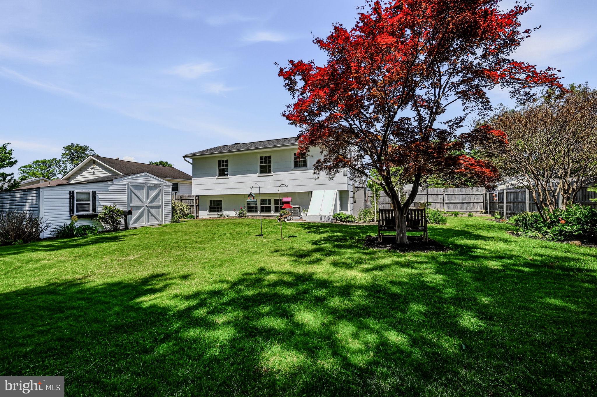 SCOTTFIELD - Residential