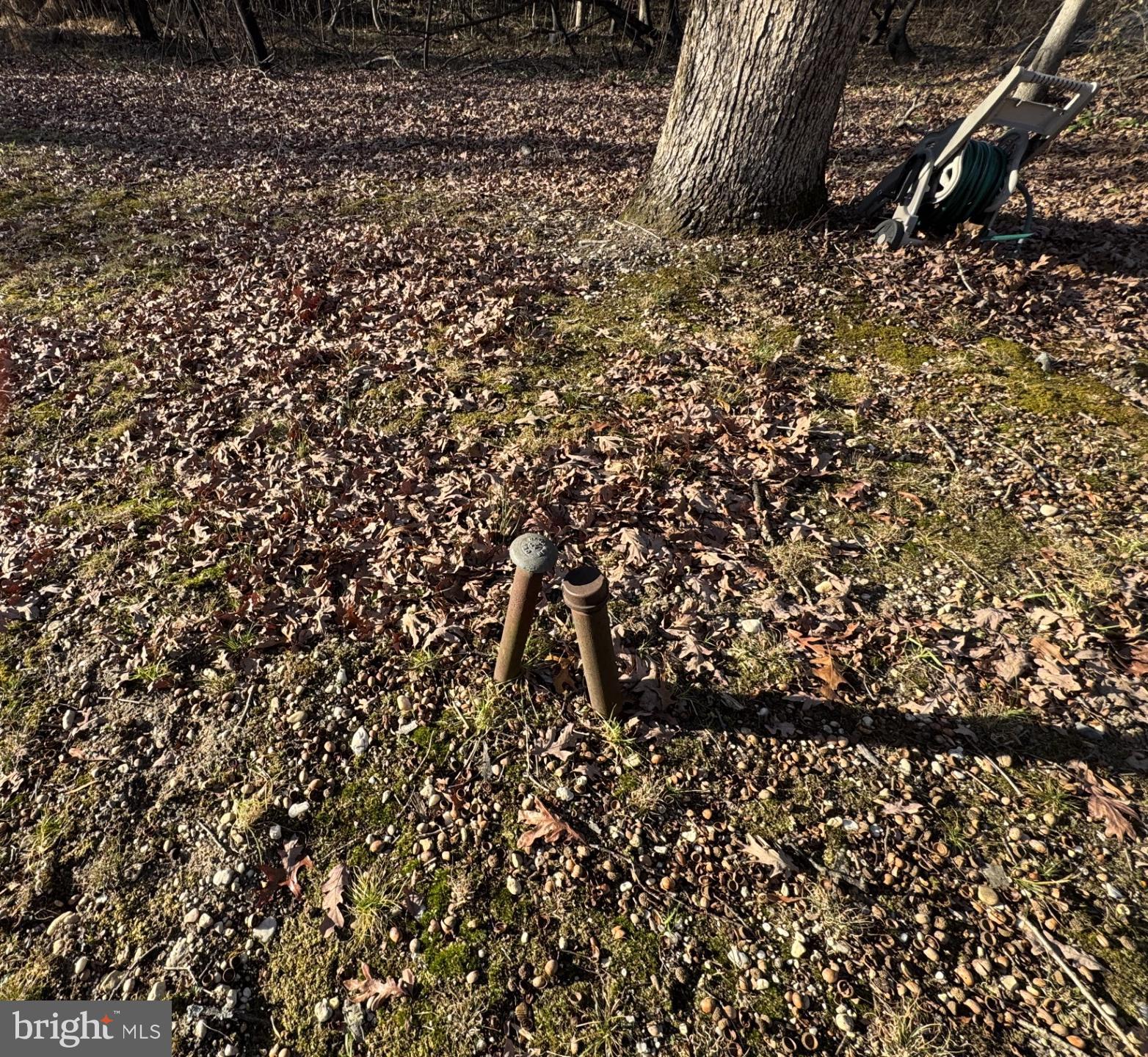 BELLE-FONTE - Residential