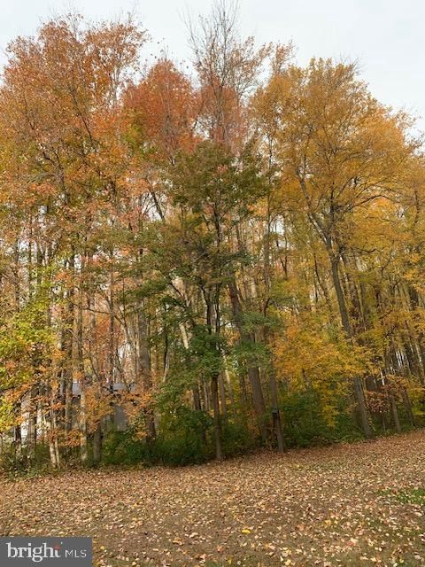 LYNNBURY WOODS ROAD DOVER DE 19904