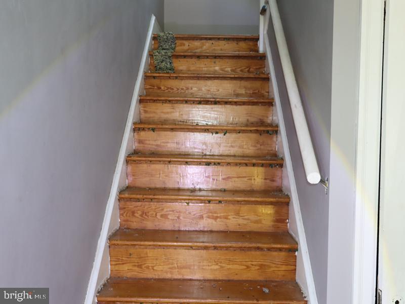 ELKINS PARK - Residential