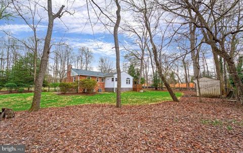 1100 SPRINGVALE ROAD GREAT FALLS VA 22066