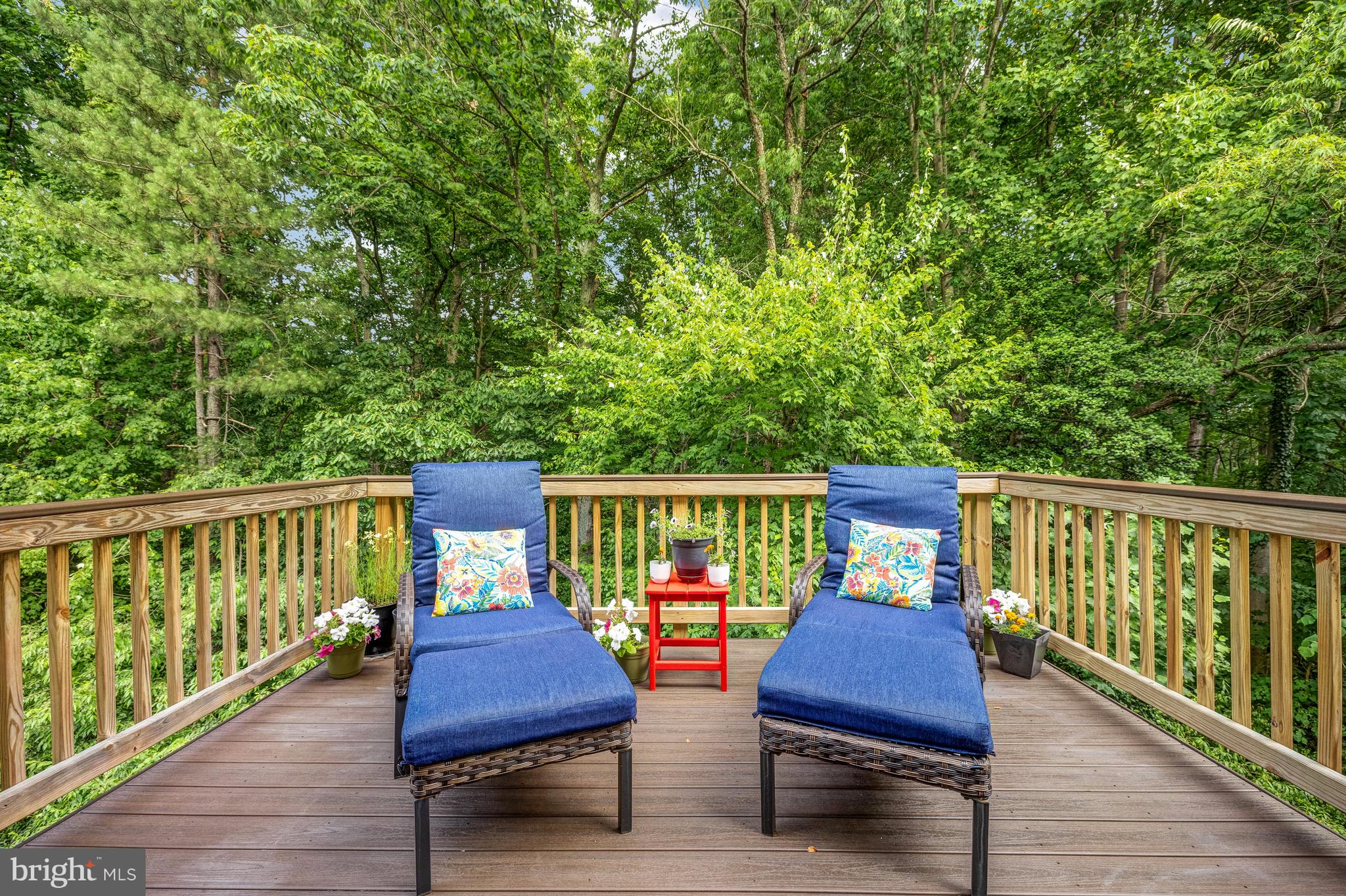 CARRIAGE GATE - Residential