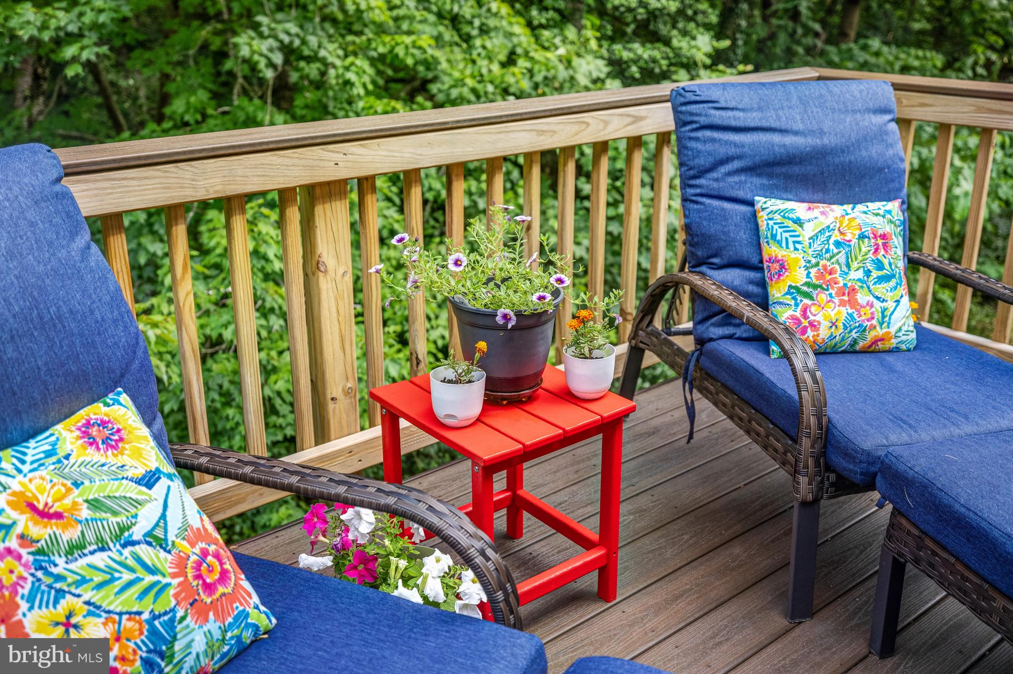 CARRIAGE GATE - Residential