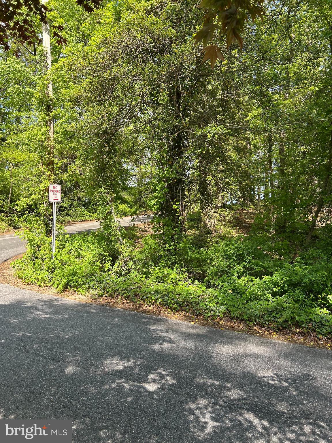 BUTTONWOOD TRAIL