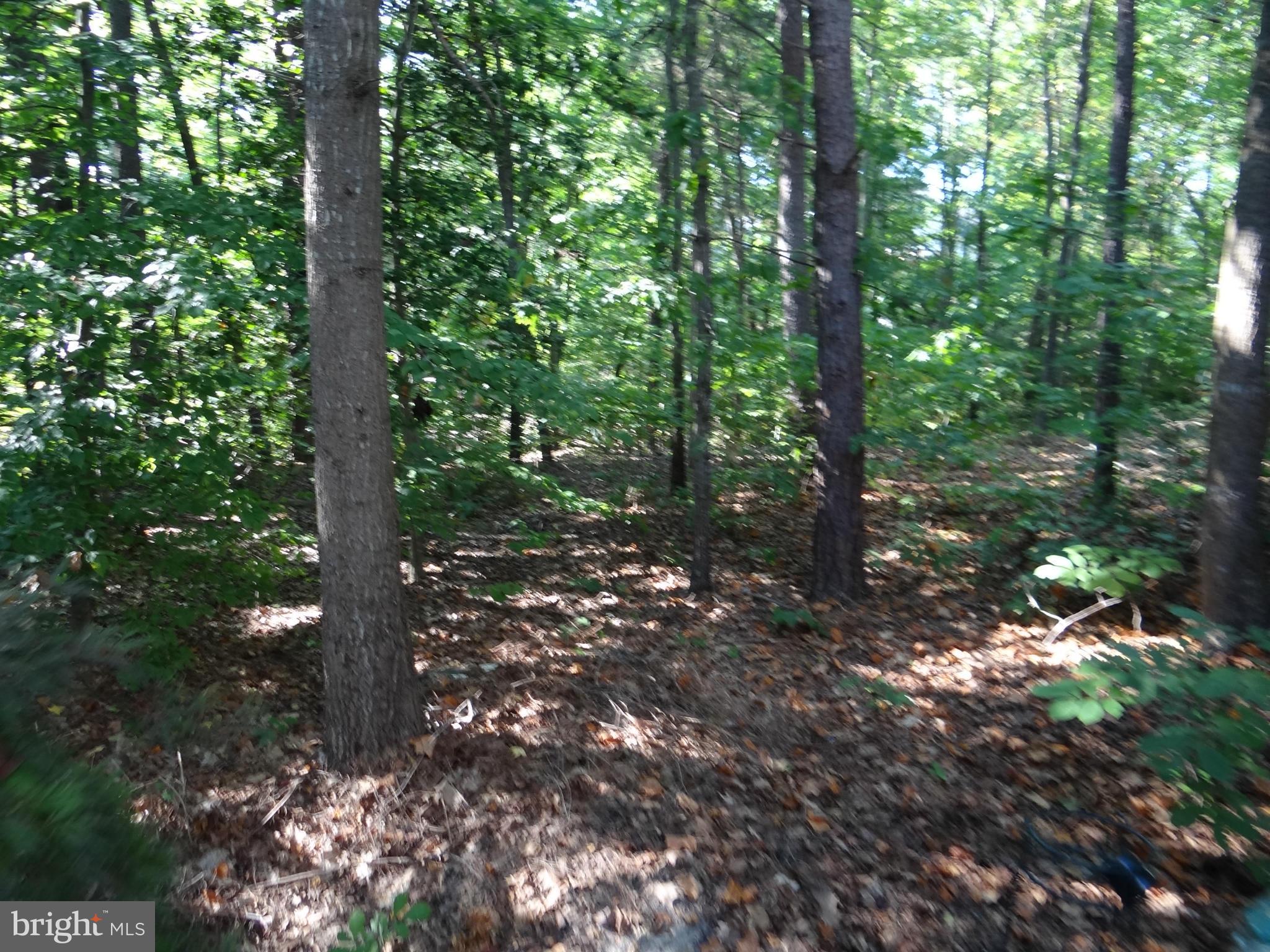 LEE'S HILL - Residential