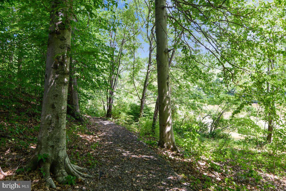 5211 SPRING BRANCH BOULEVARD