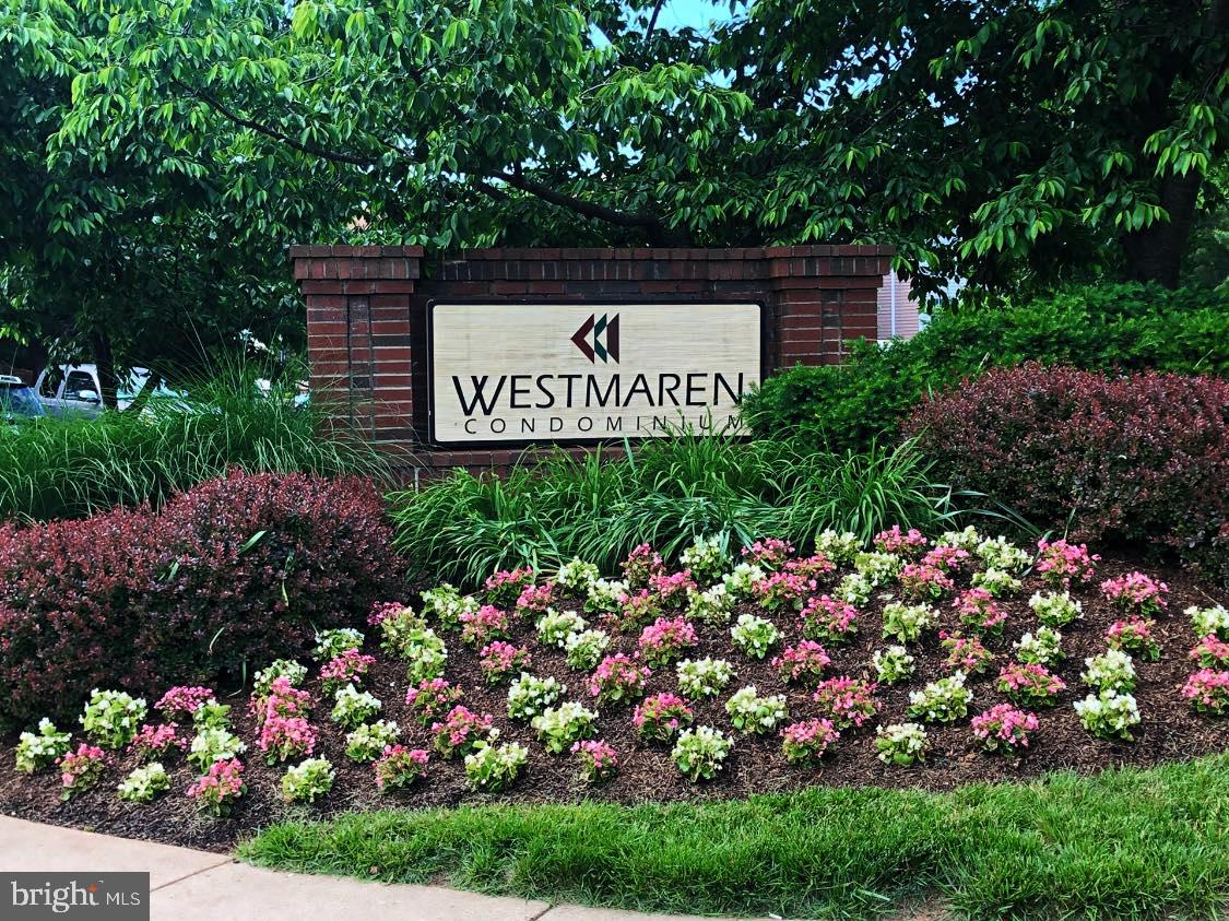 20965 TIMBER RIDGE TERRACE 304