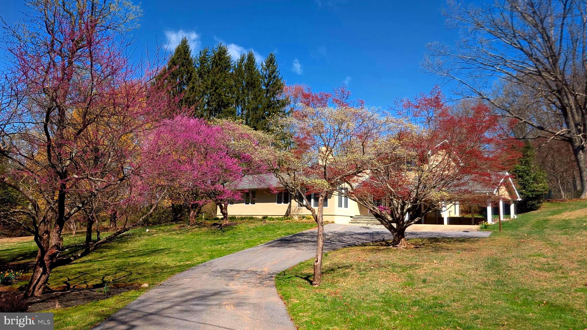11824 MAYS CHAPEL ROAD