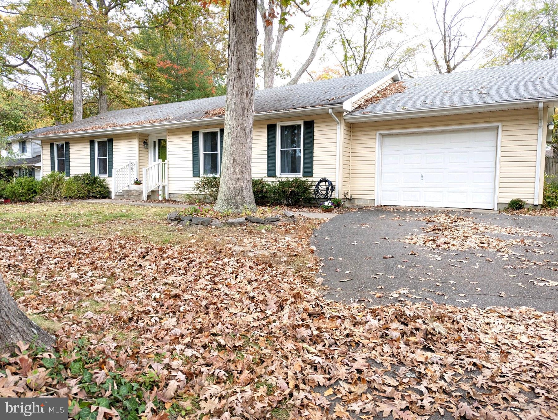 SOUTH BEECHWOOD - Residential