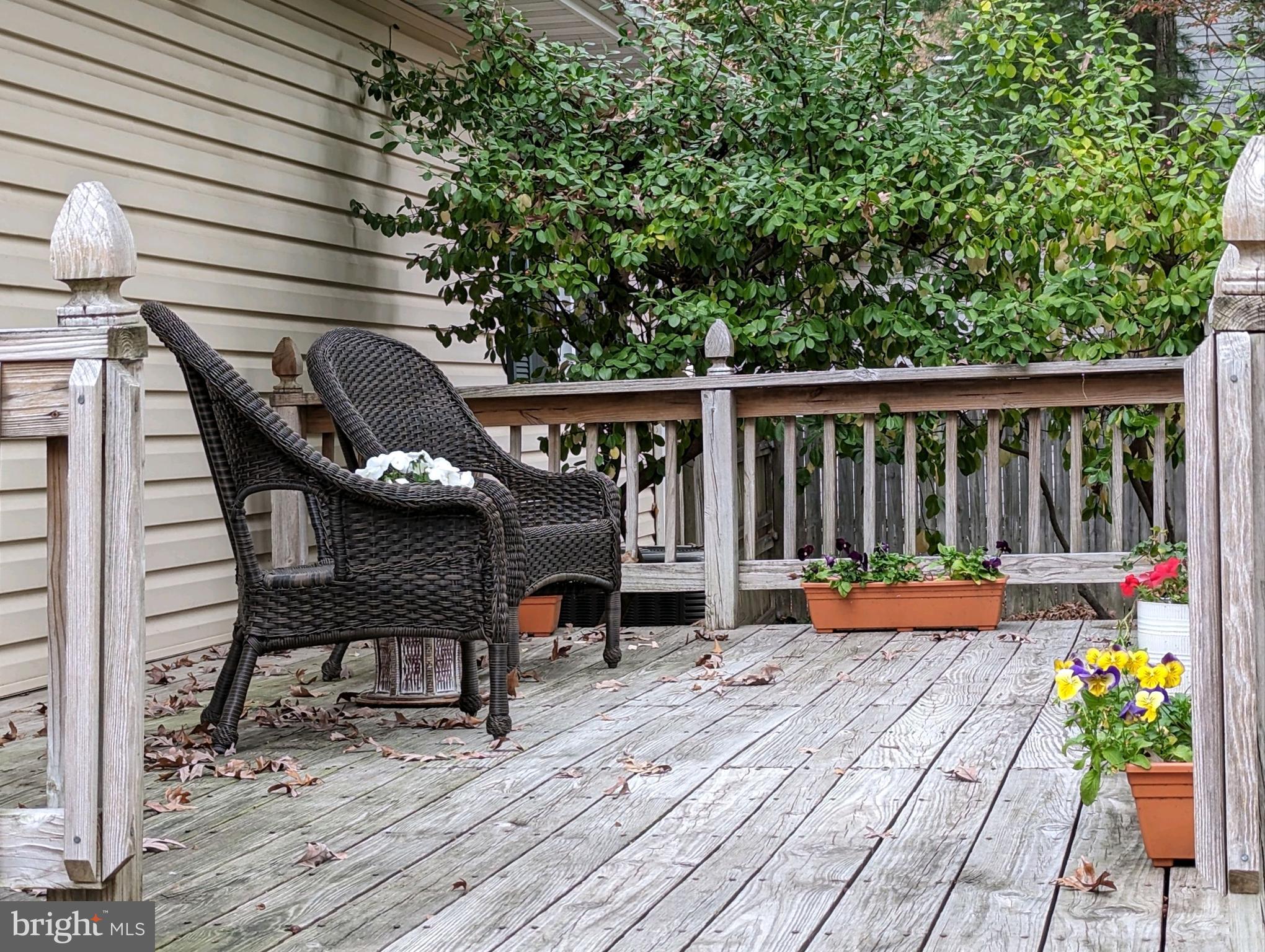 SOUTH BEECHWOOD - Residential