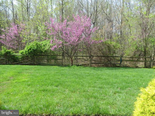 DEVONSHIRE AT WHITEMARSH - Residential