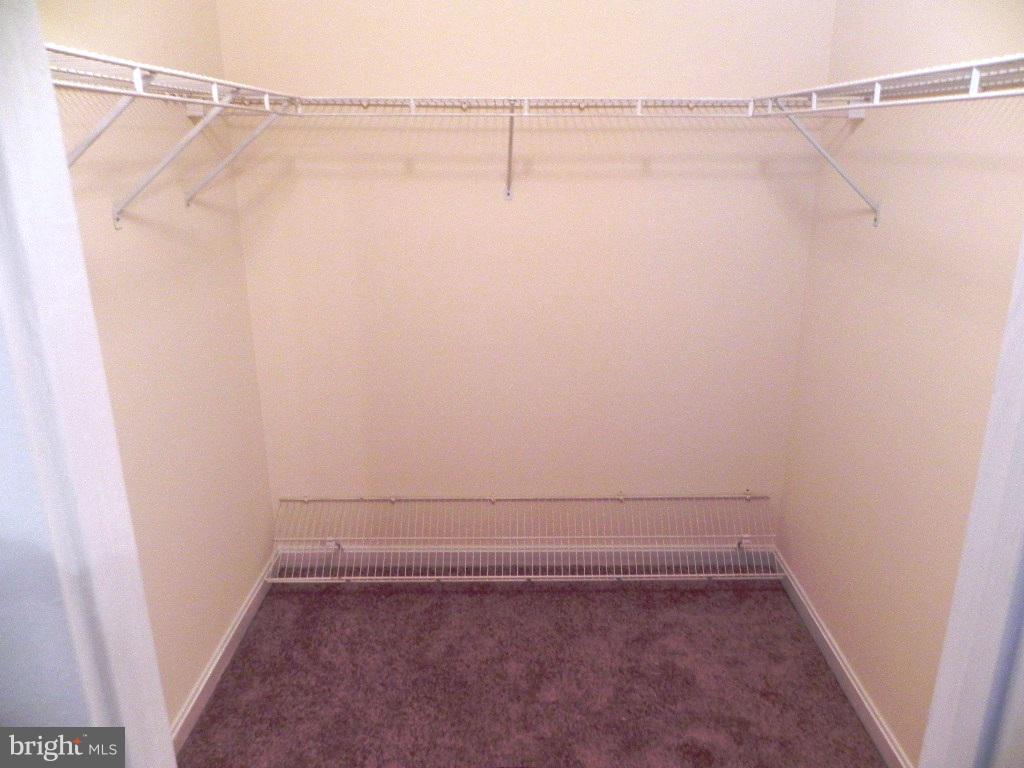 ACTON VILLAGE - Residential Lease