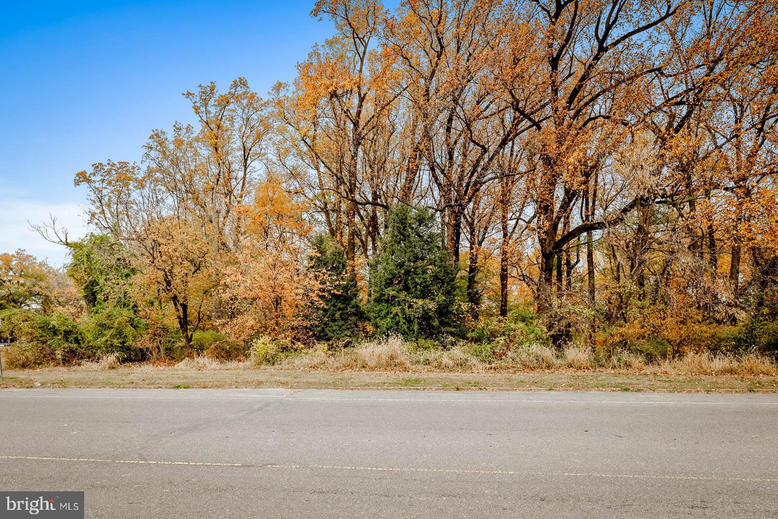 SANDYFORD PARK - Residential