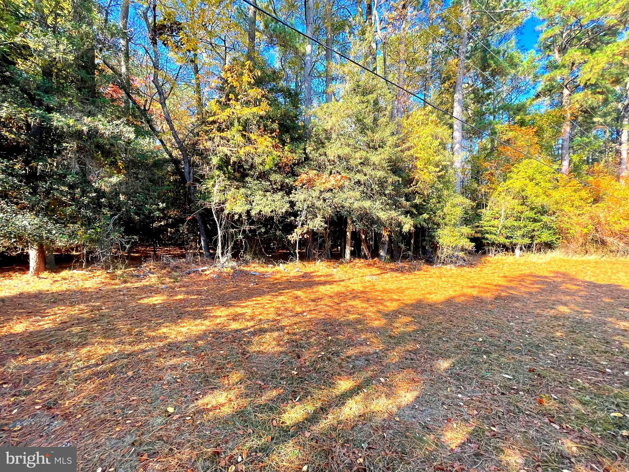 35320 WOOD DUCK RD 31367