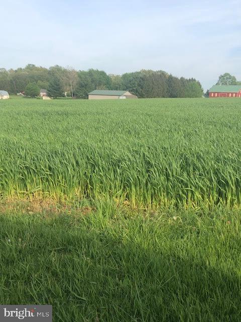 This is the perfect building lot. Over an acre. Level. Back a private lane. No HOA. Close to the MD / PA line. Bring your plans and your own builder.