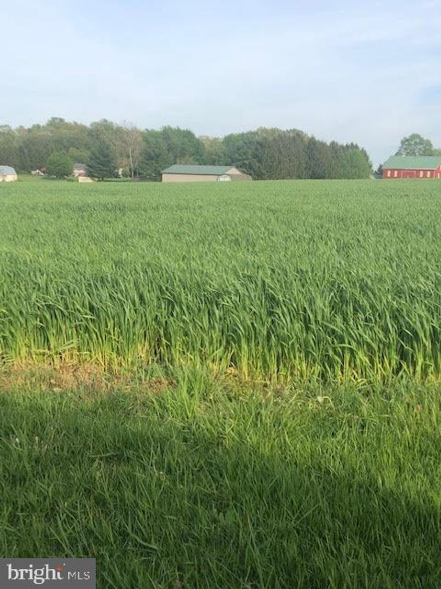 This is the perfect building lot. Over an acre. Level. Back a private lane. No HOA. Close to the MD / PA line.  Bring your plans and your own builder.