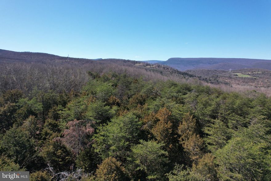 Want a piece of Almost Heaven West Virginia. Come and see this gorgeous 17.52 acre tract of wooded property. It is close enough to all the local amenities yet far enough away to have your own private piece of Heaven. It is located near the Petersburg Trout Hatchery which is the home of the Golden Trout. It is also located near the Potomac River where the fishing is top notch. Other local tourist attractions are Seneca Rocks, Dolly Sods, Spruce Knob, Smoke Hole Caverns and many more. Call us today and we would love to show you this beautiful piece of West Virginia.