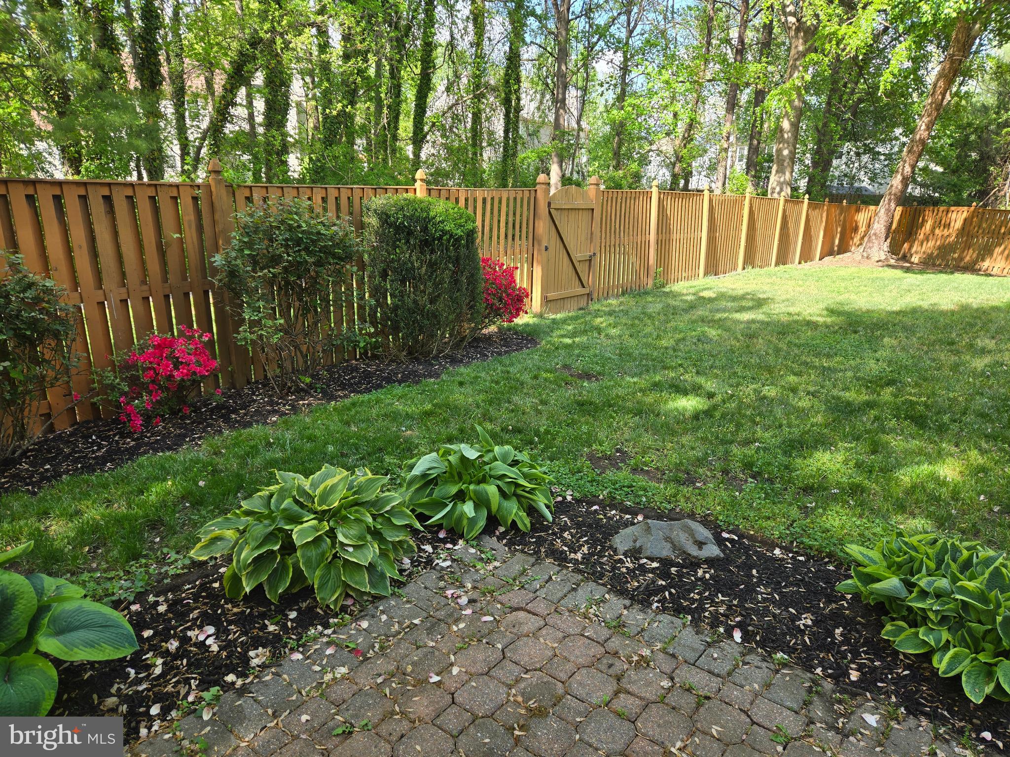 16104 ARROWROOT COURT