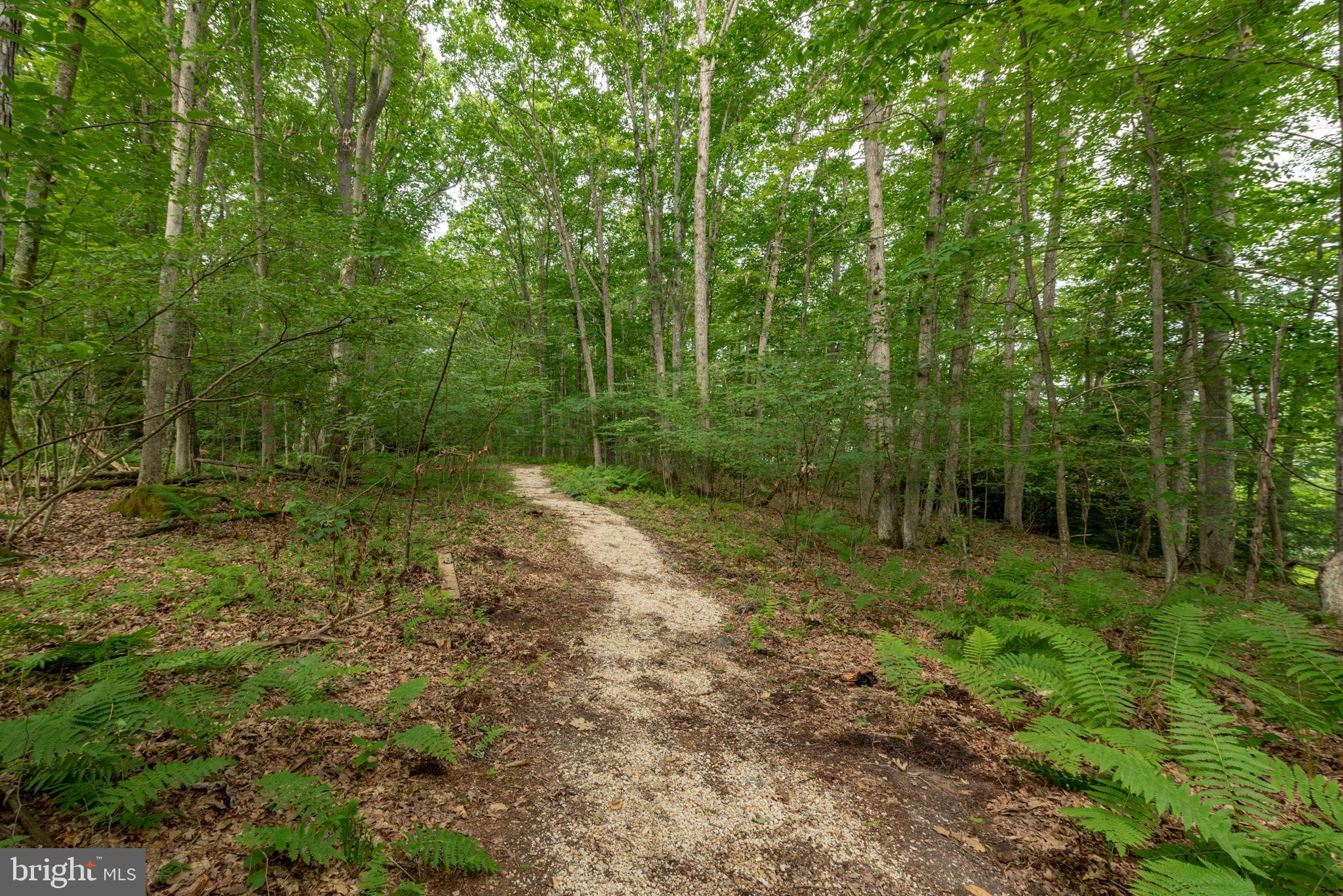 SKIPPERS POINT - Residential