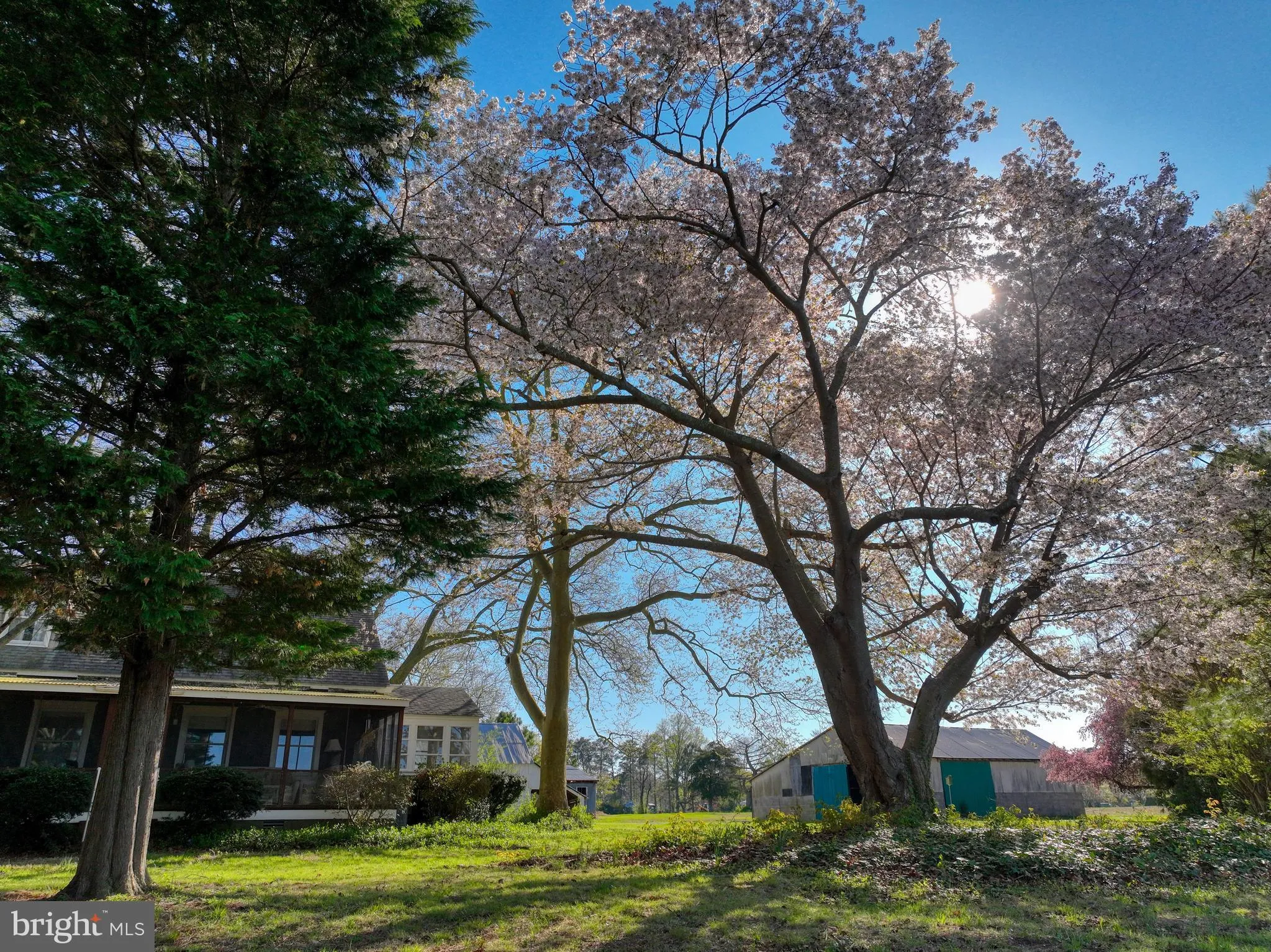 Harbeson, Delaware 19951, United States, 4 Bedrooms Bedrooms, ,2 BathroomsBathrooms,Residential,Active,111706