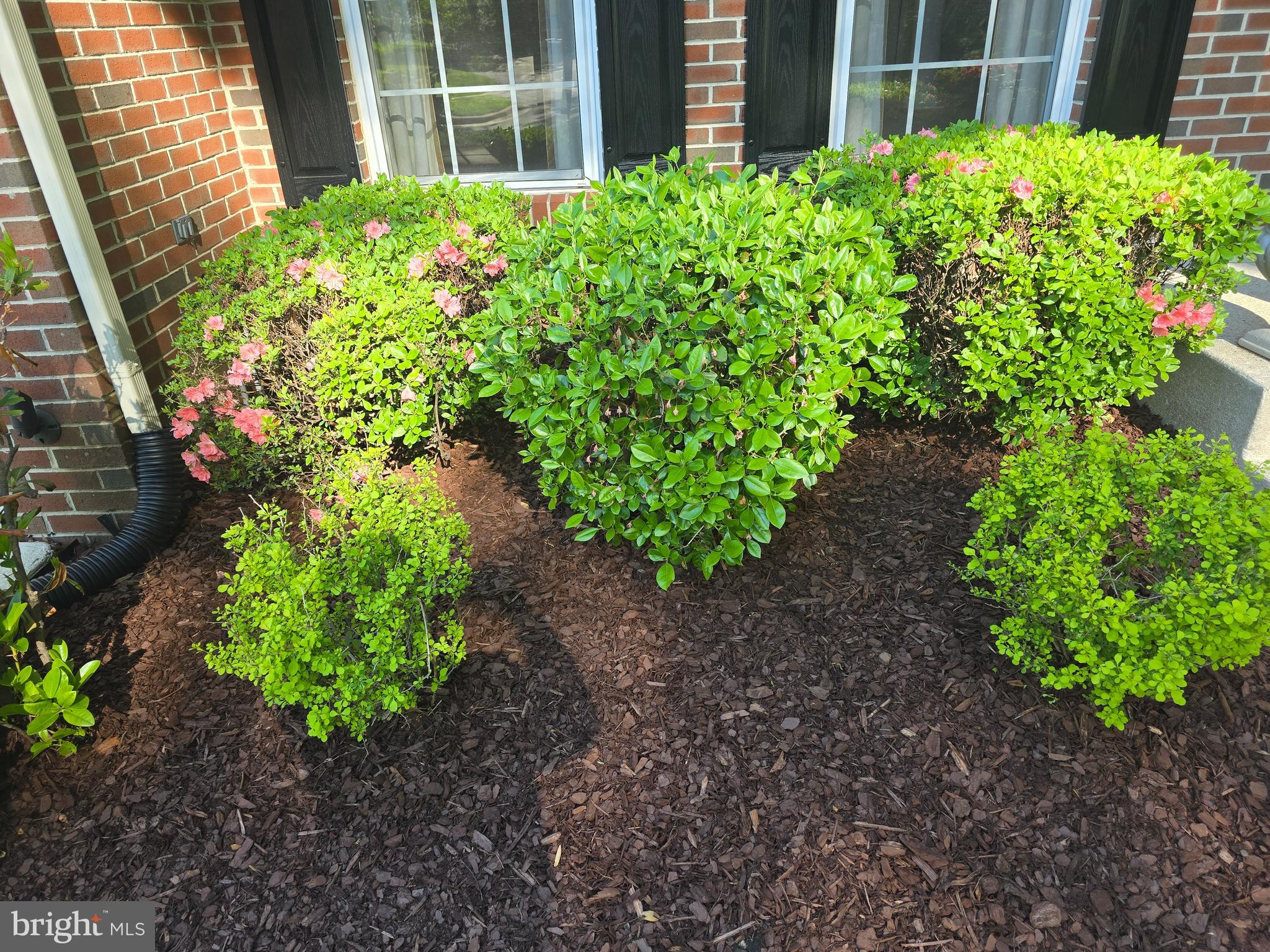 5401 RICHARDSONS ENDEAVOR DRIVE