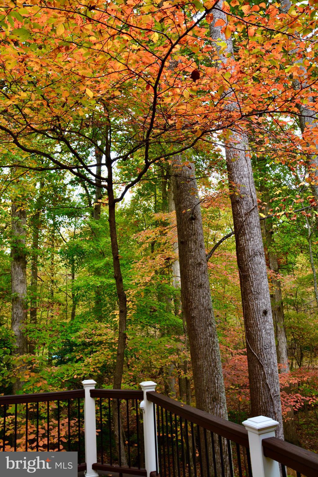 WEST OAKS ESTATES - Residential