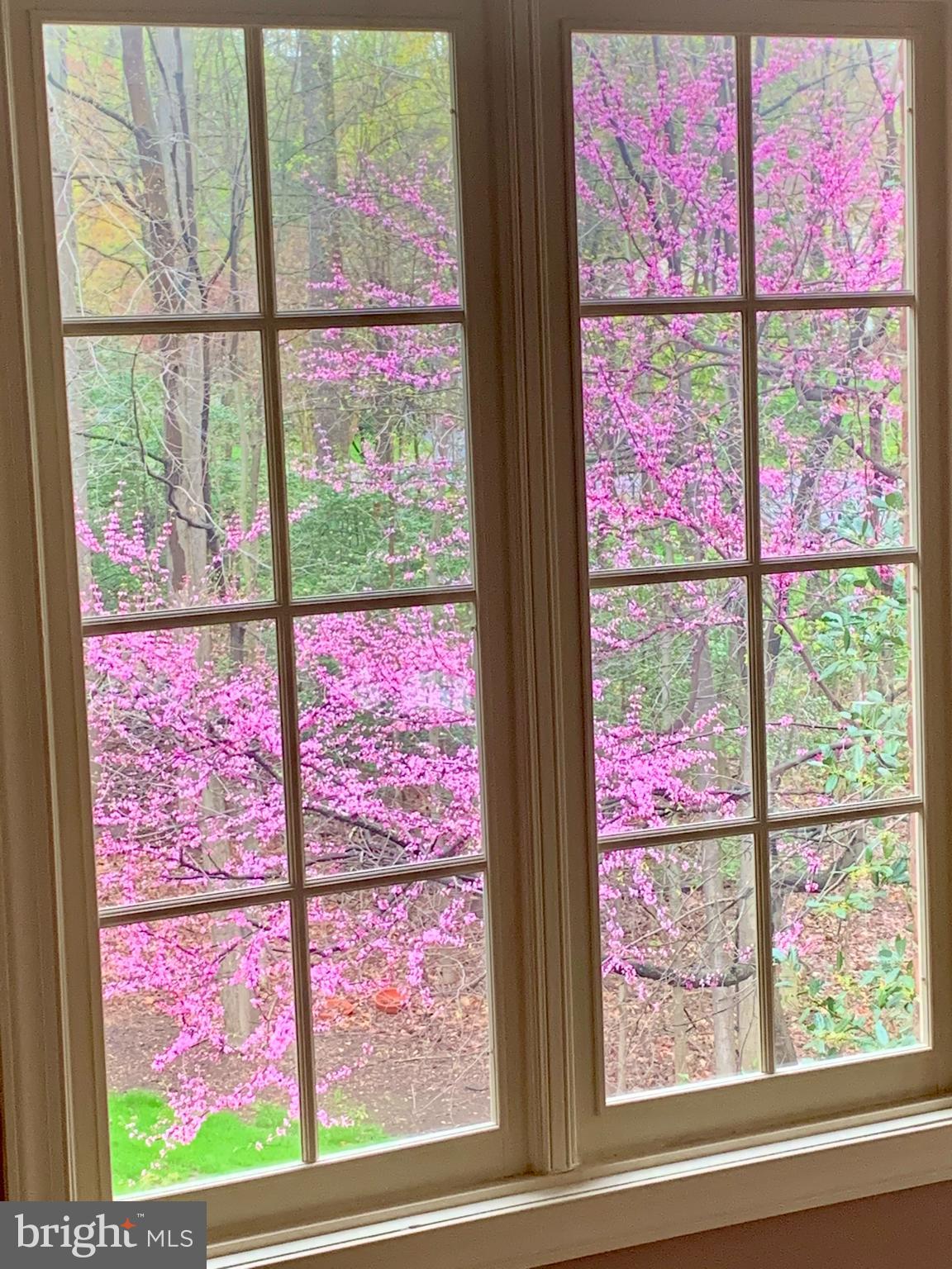 WEST OAKS ESTATES - Residential