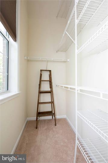 QUANTRELL MEWS - Residential Lease