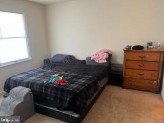 VILLAGE KNOLL - Residential