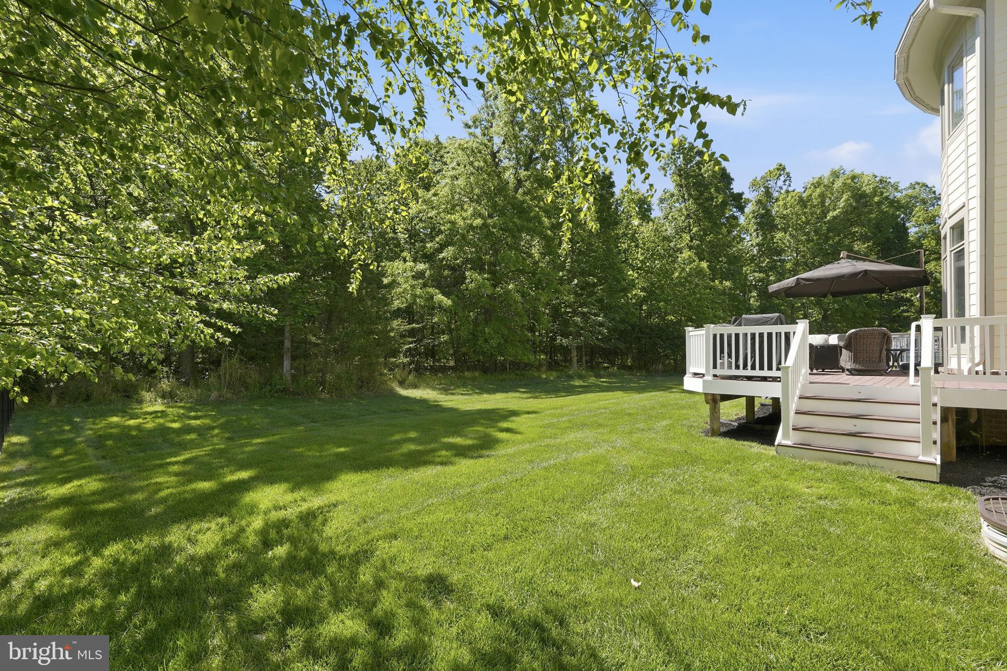 GREENE MILL PRESERVE - Residential