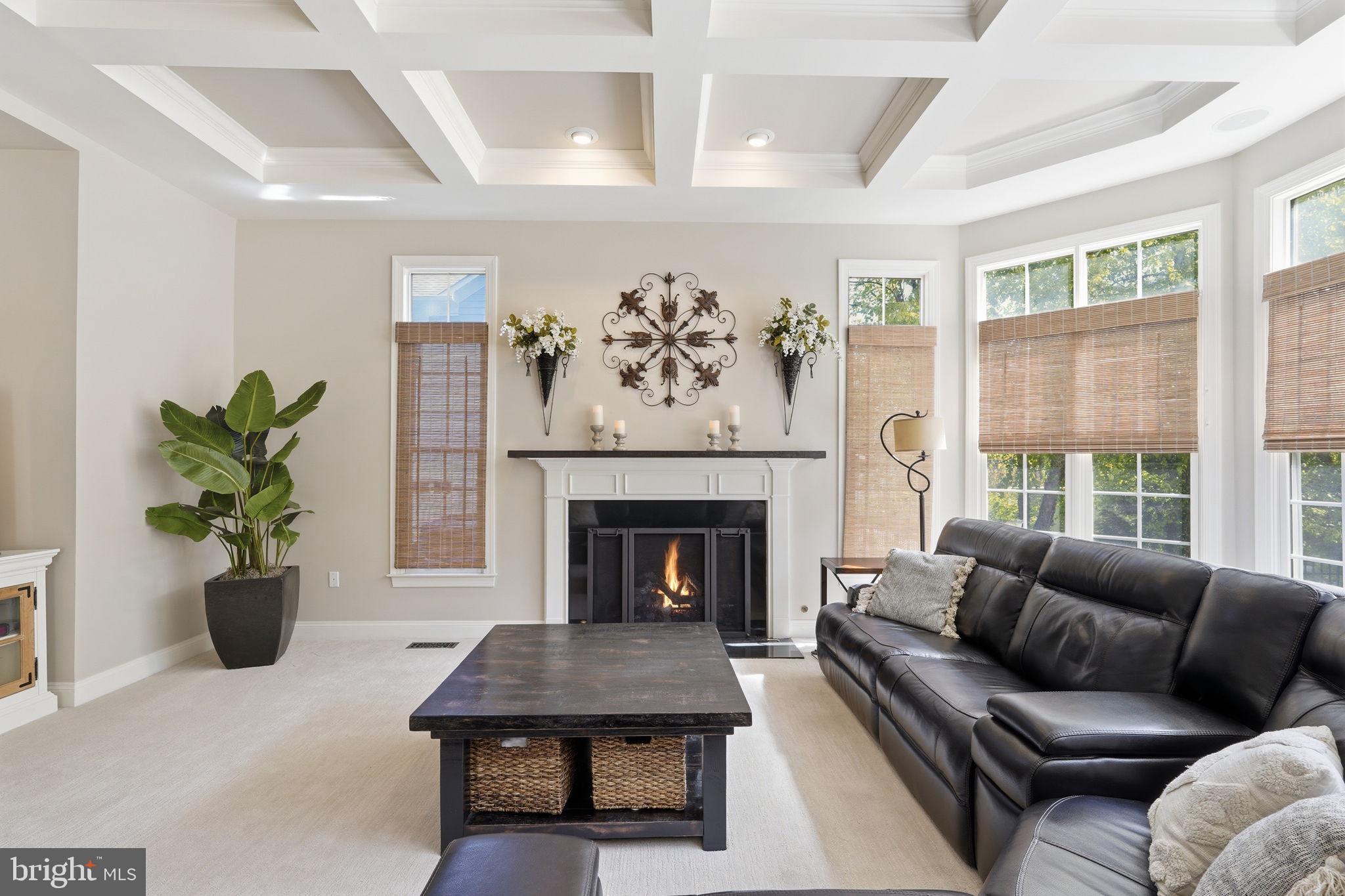 GREENE MILL PRESERVE - Residential