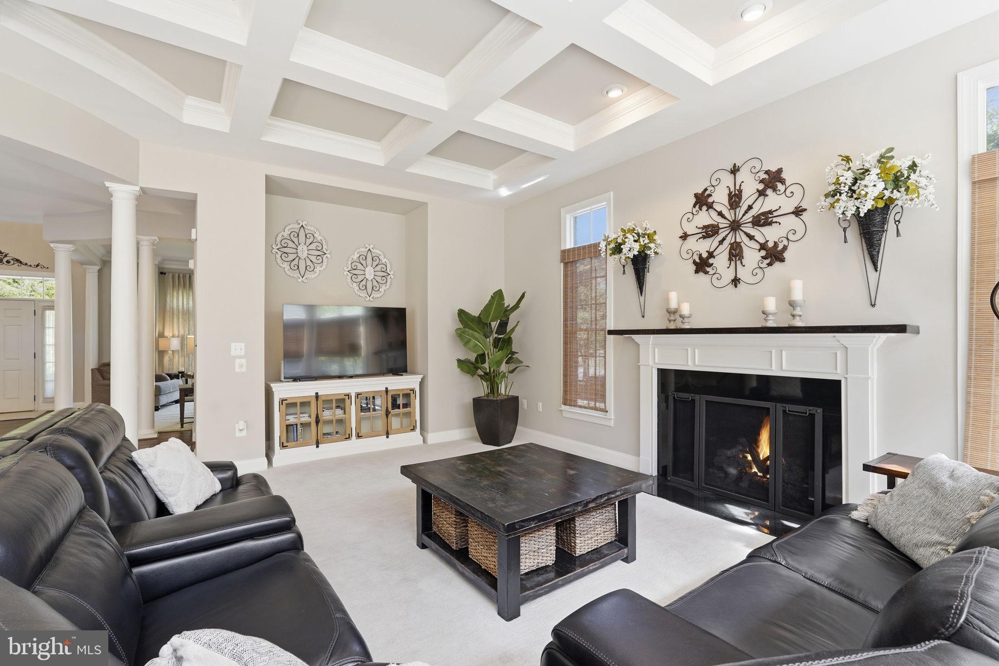 GREENE MILL PRESERVE - Residential