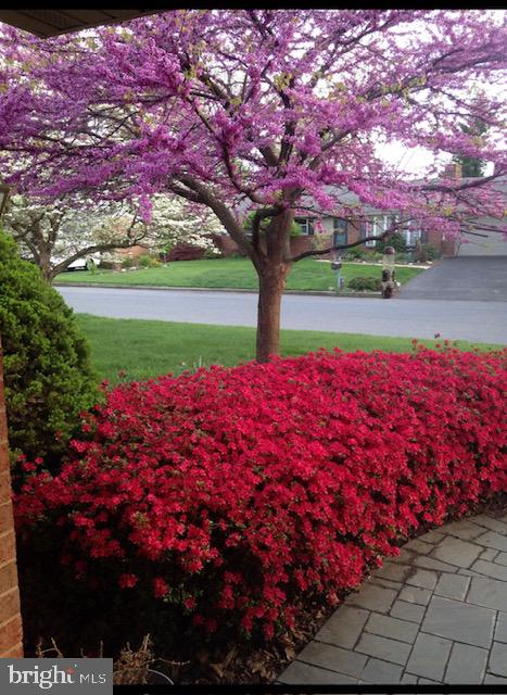 SPRING VALLEY - Residential